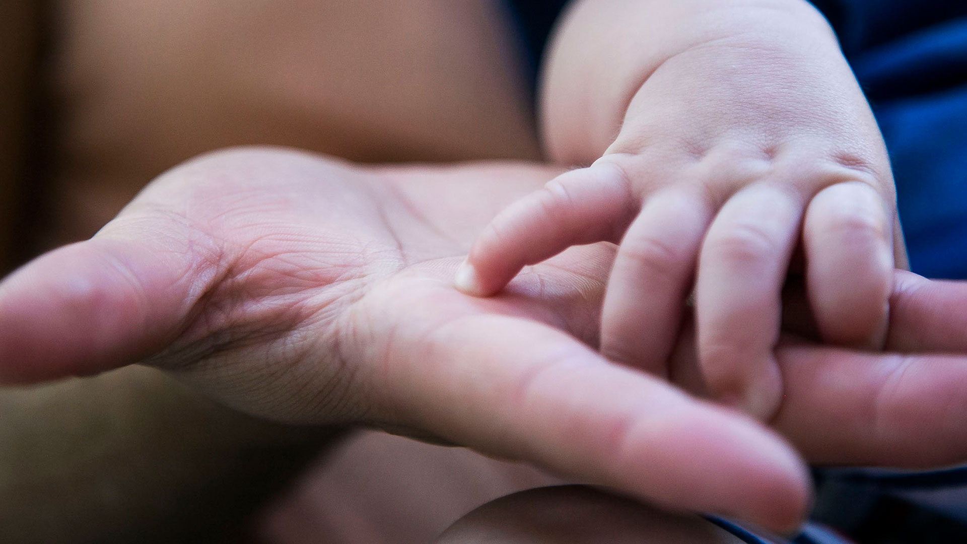 Francisco: El aborto no es un derecho, es como pagar a un sicario para resolver un problema