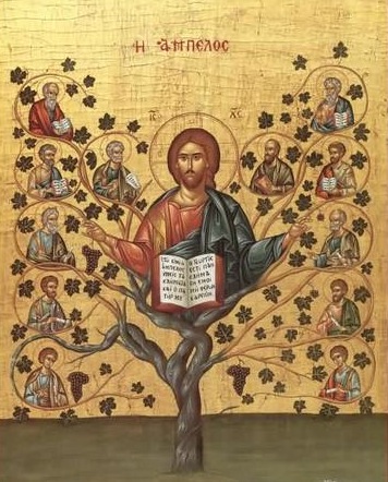 Liturgia mayo 3 Unirnos a Cristo para ser fecundos con Él