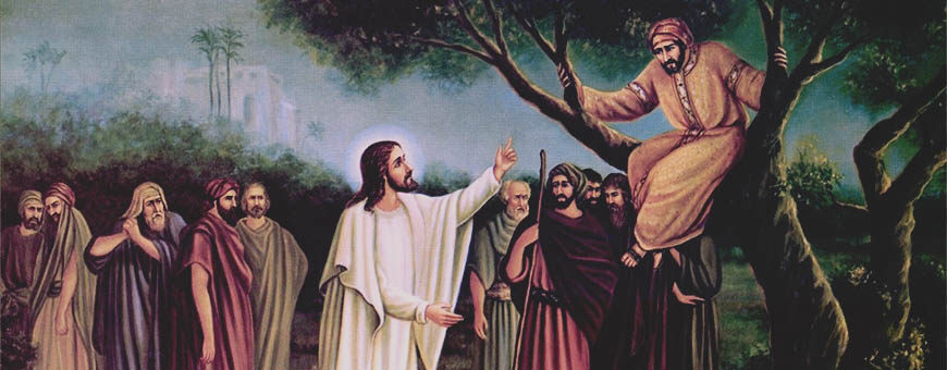 LITURGIA Noviembre 3 Una mirada que supera los anhelos humanos