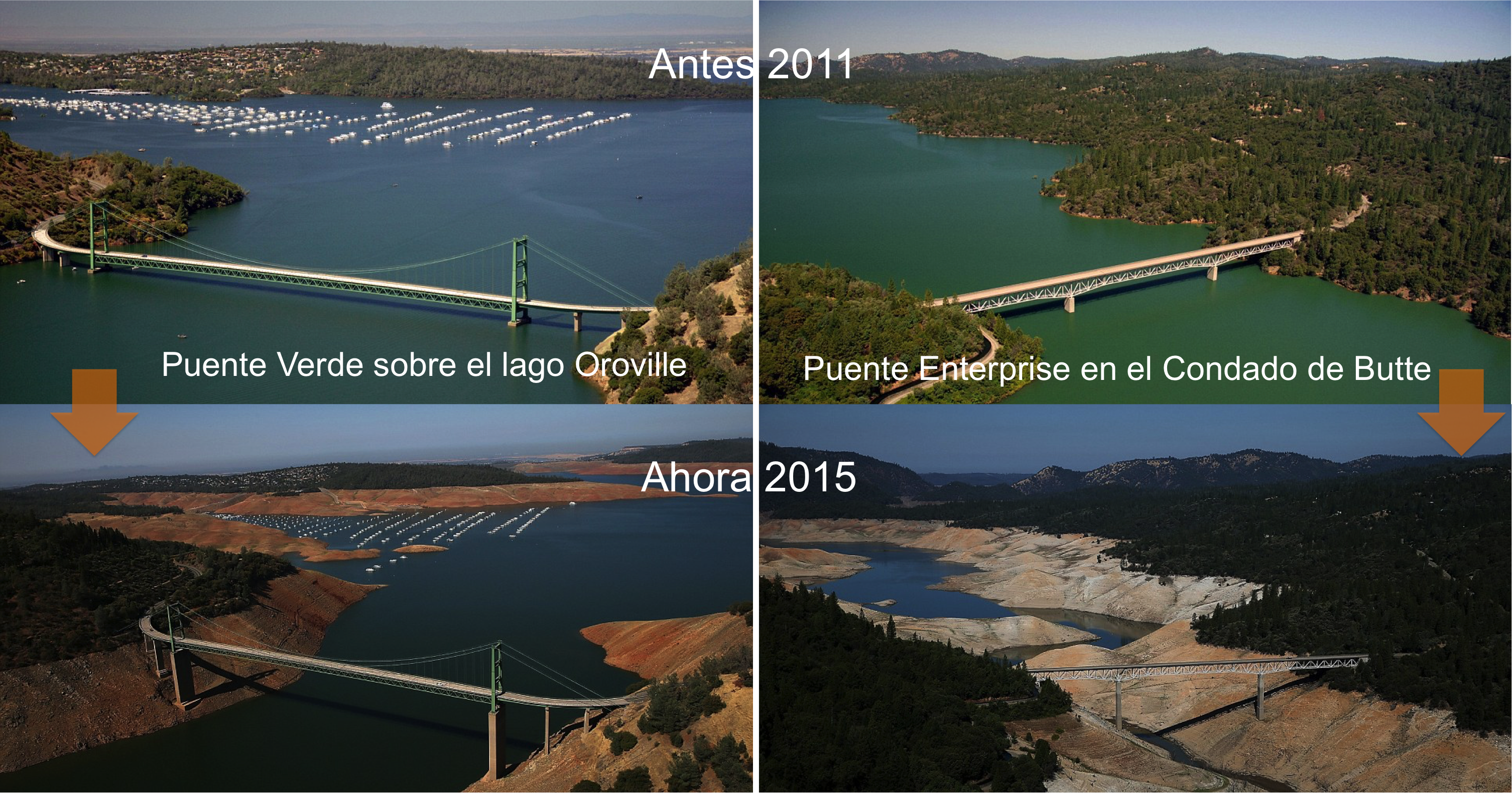 El agua de vida la está acabando la voracidad del hombre