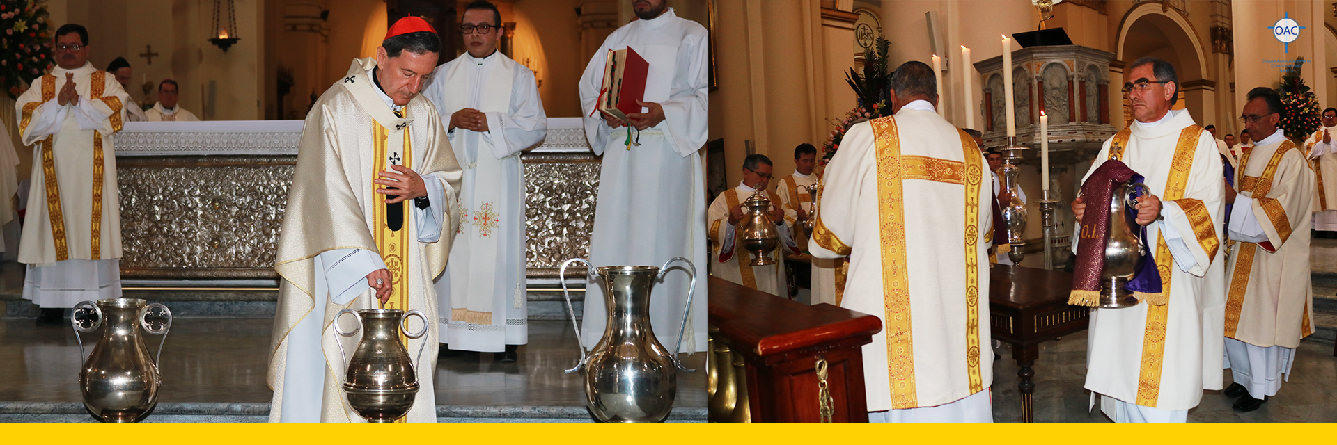 El Señor hoy renueva en nosotros su salvación