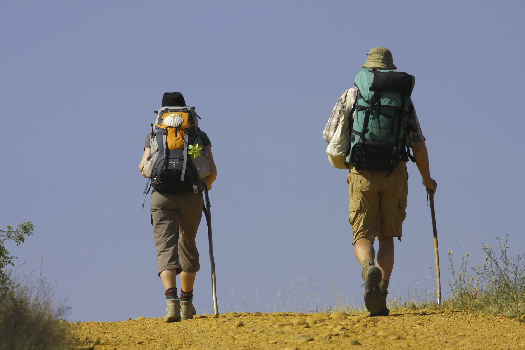 El Año de la Misericordia atraerá a Roma a 25 millones de peregrinos