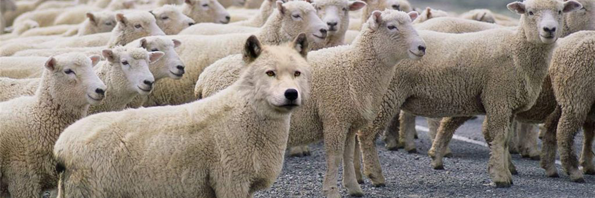 La ilusión del poseer sólo produce esclavos del lucro o de intereses mezquinos