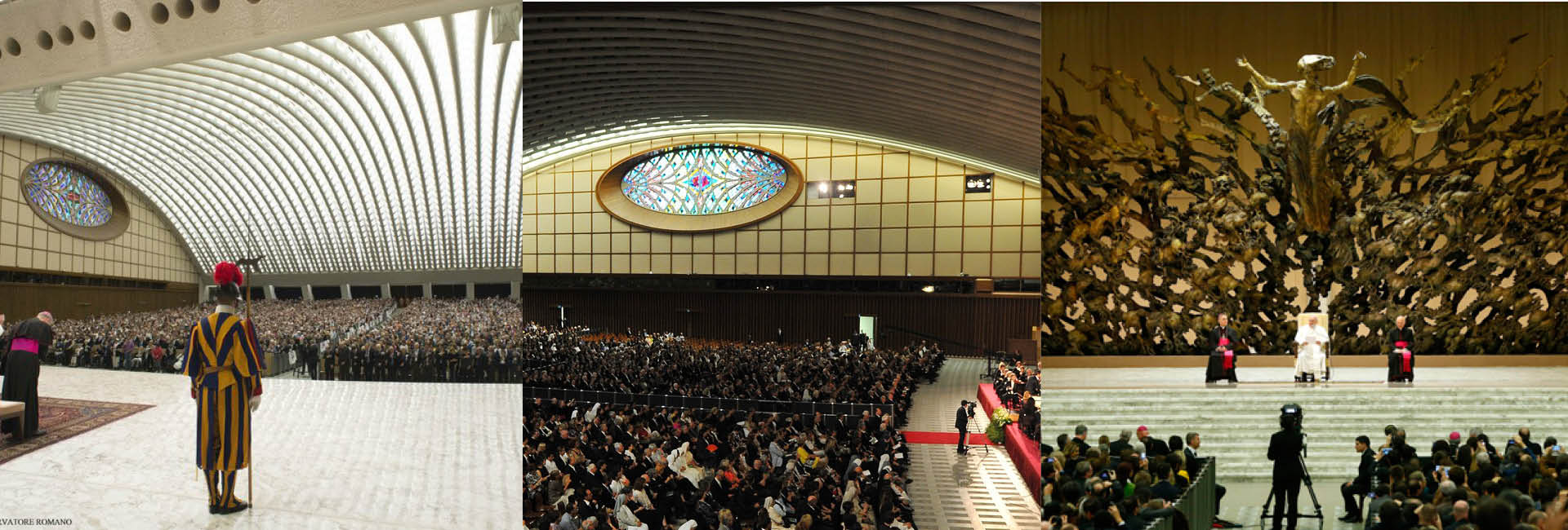 Compartir el Bautismo significa que todos somos pecadores y que necesitamos la salvación que Dios nos ofrece