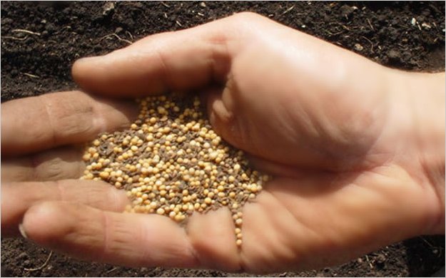 LITURGIA Octubre 2 Por la obediencia de la fe se viene realizando el proyecto de Dios