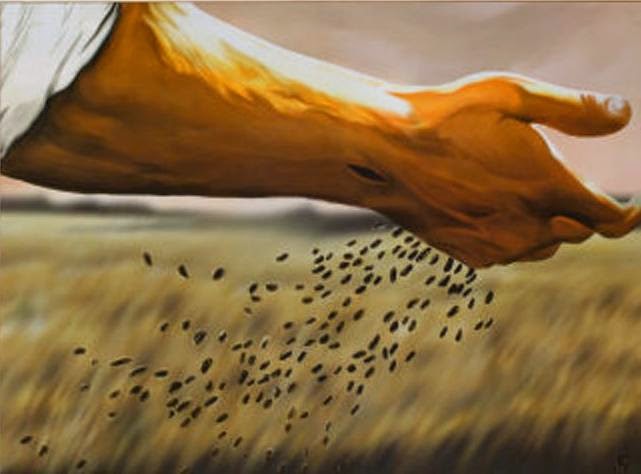 LITURGIA Julio 3 La fecundidad del Reino y la precariedad de medios