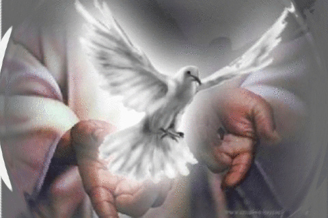 LITURGIA Junio 16 La salvación se hace realidad en el mundo por el envío del Hijo y del Espíritu Santo