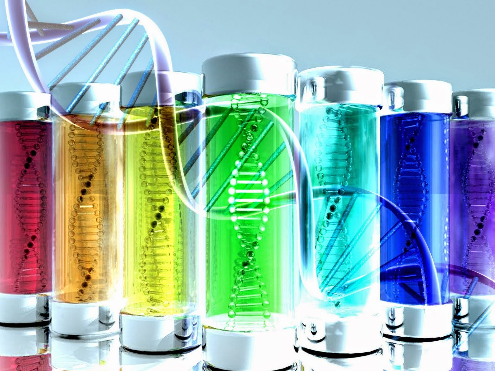 Contra natura: niños a la carta