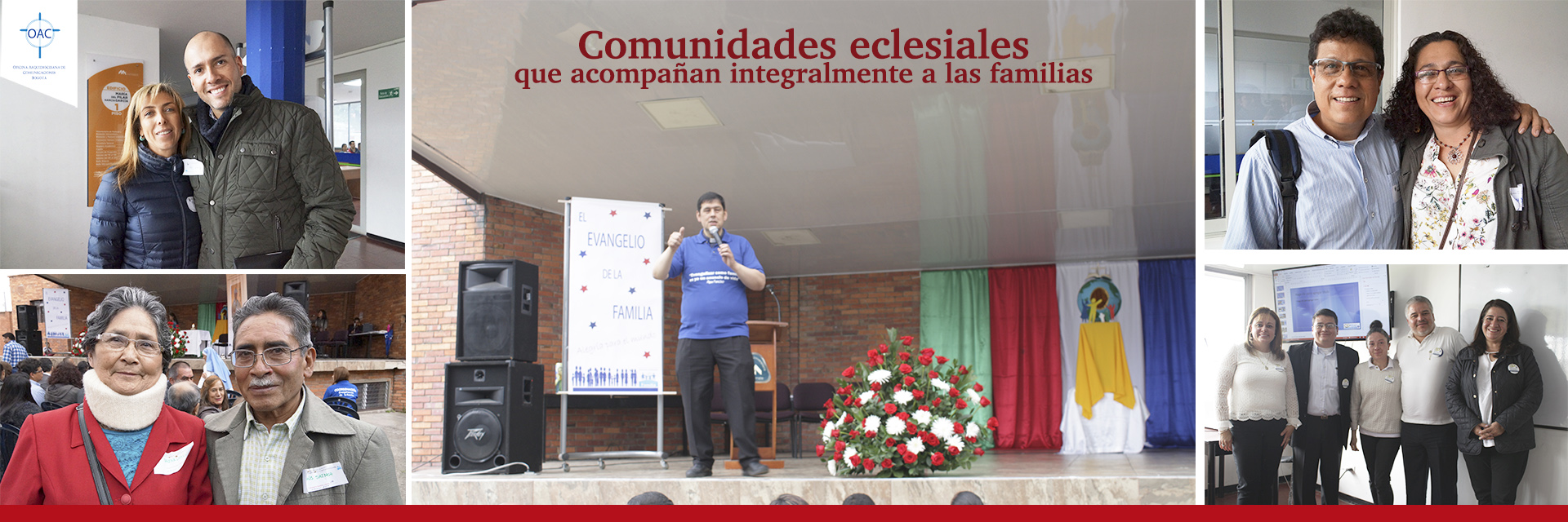 Evangelización de la familia: Alegría del amor