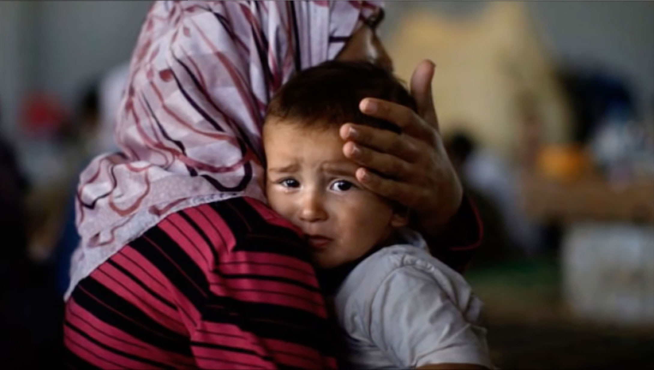 El Papa nos invita a rezar por los cristianos perseguidos