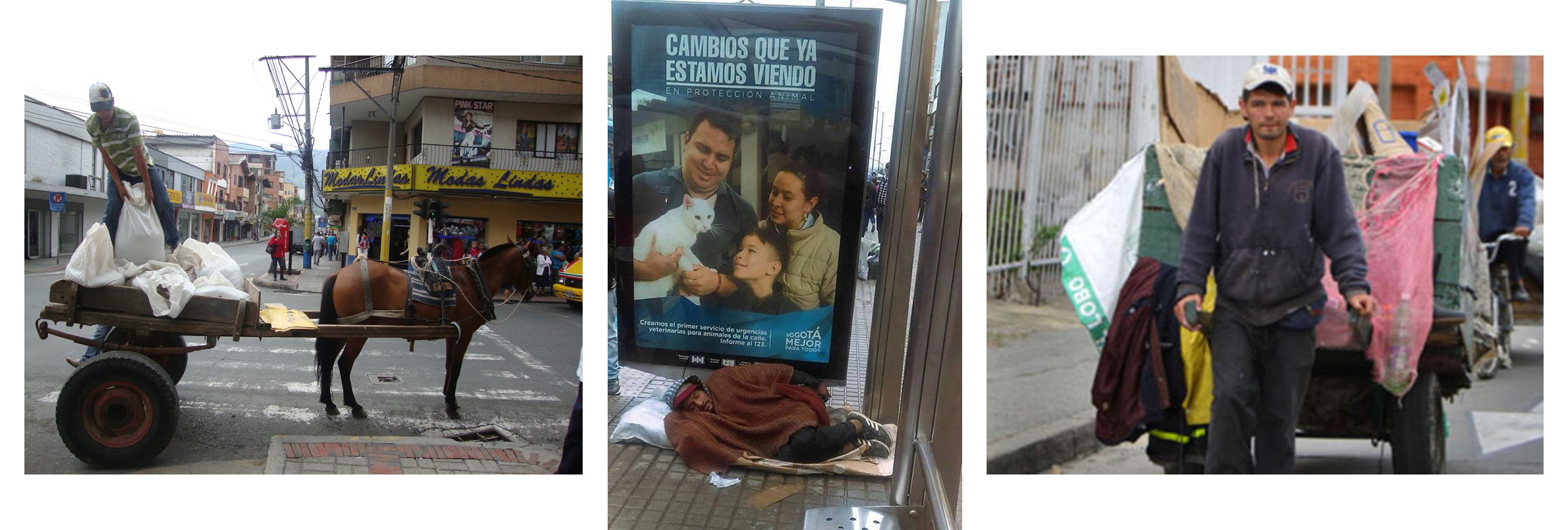 Amo a mi mascota, pero no es mi hijo