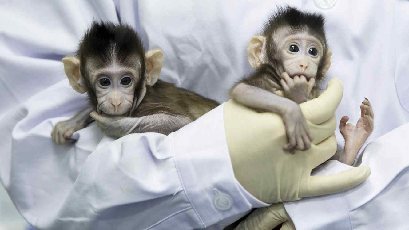 El arzobispo Vincenzo Paglia, presidente de la Pontificia Academia para la Vida, llama a cuestionarse sobre la validez ética de la clonación