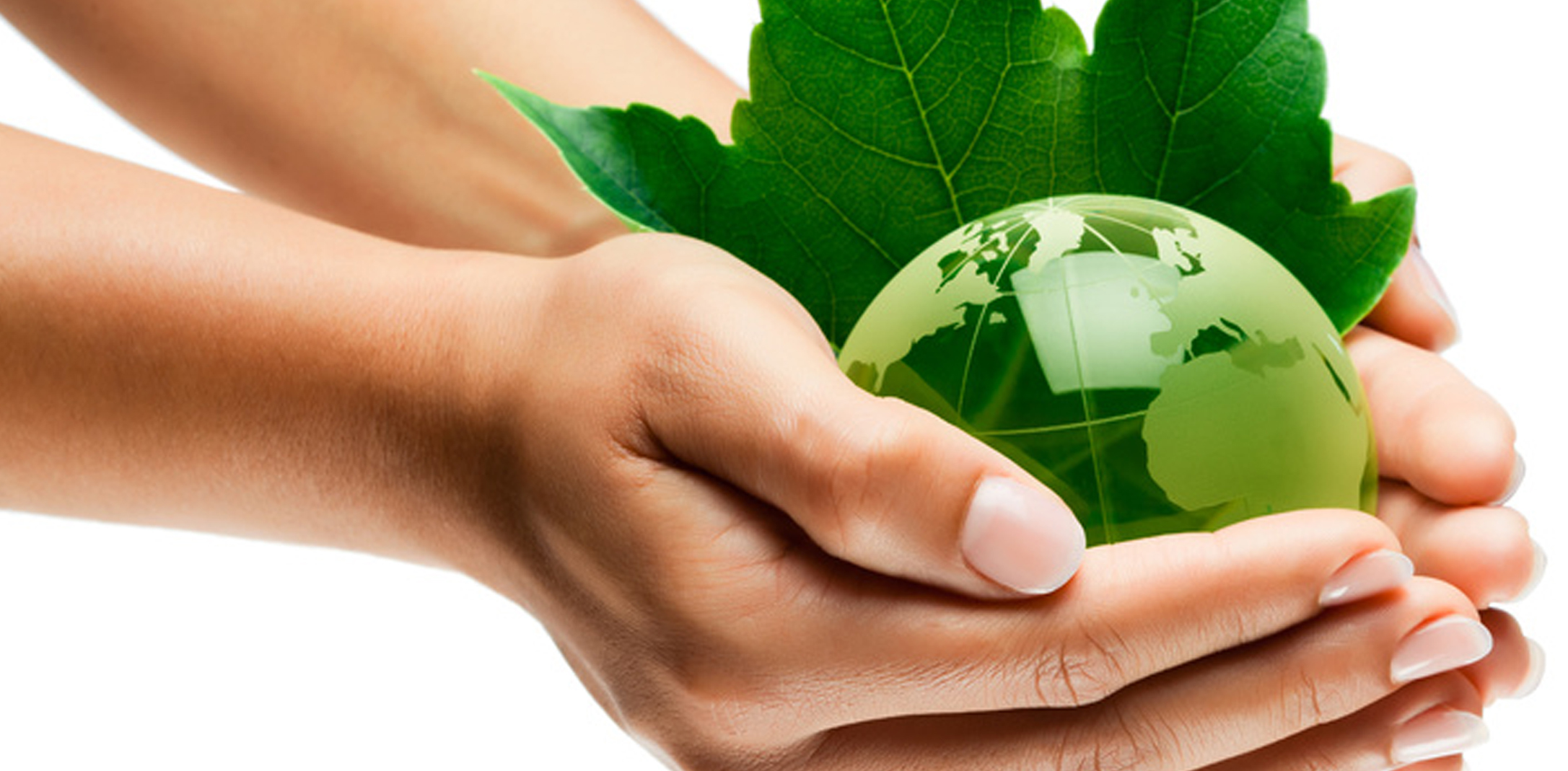 El desafío es llegar al desarrollo sostenible