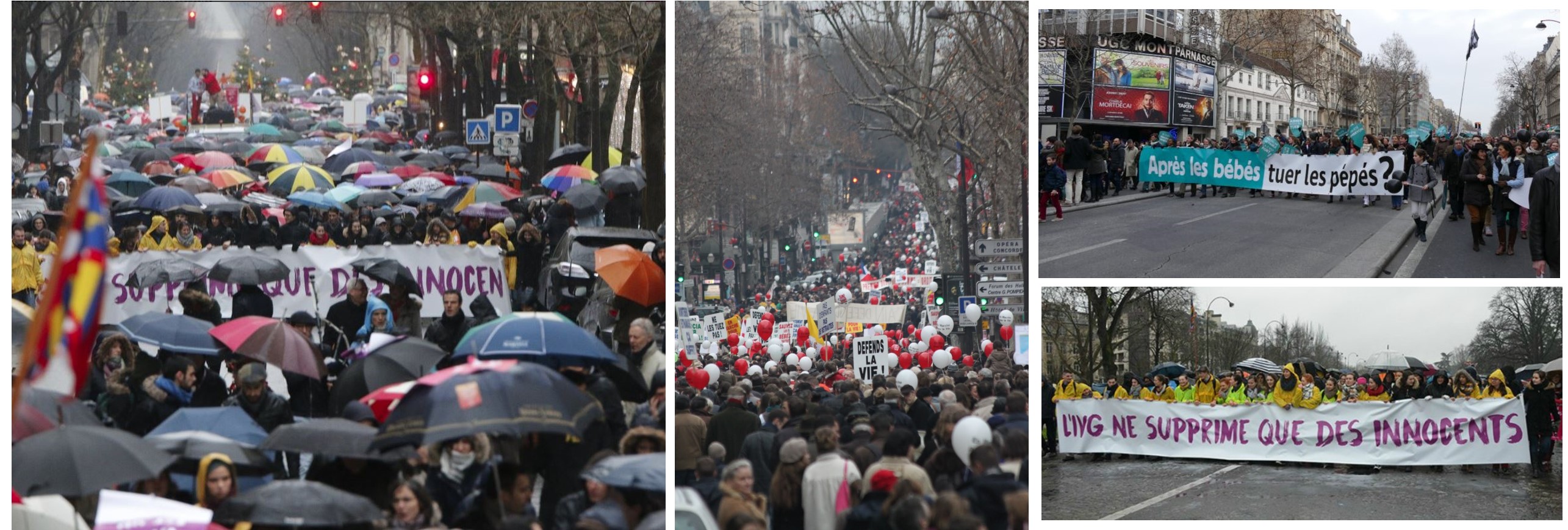 De la sombra a la luz: 40 mil personas marcharon por la vida en París el pasado domingo