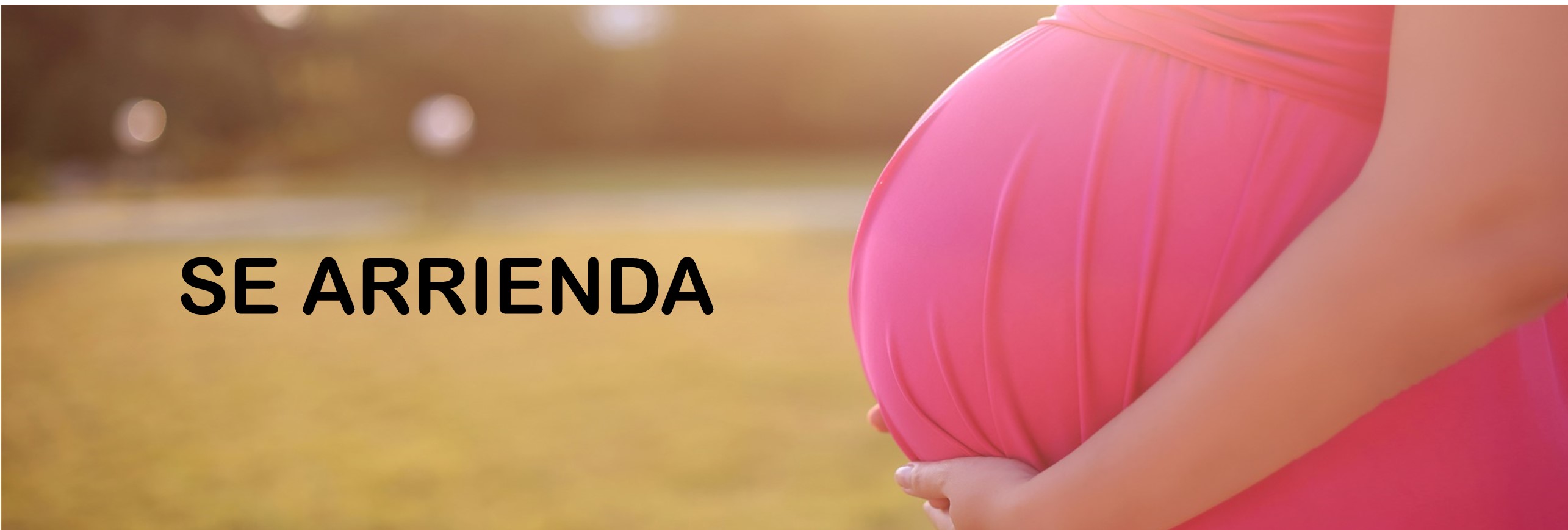 La maternidad subrogada, contraria a la ética y al derecho