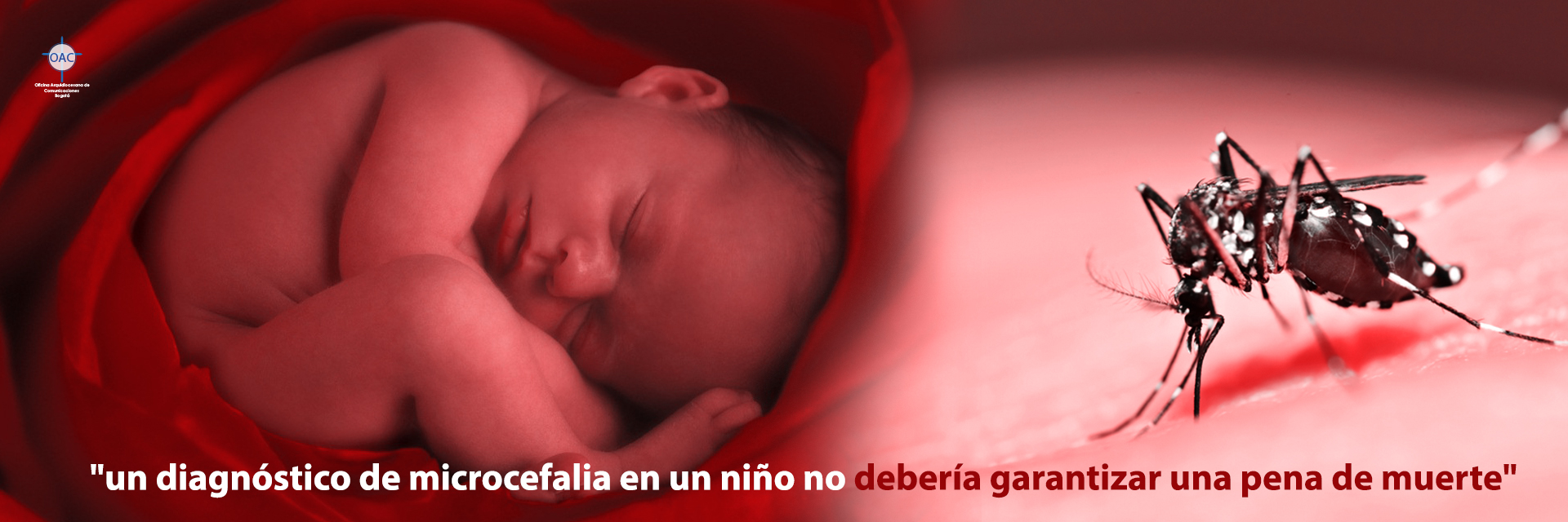 No a la presión abortista por virus Zika