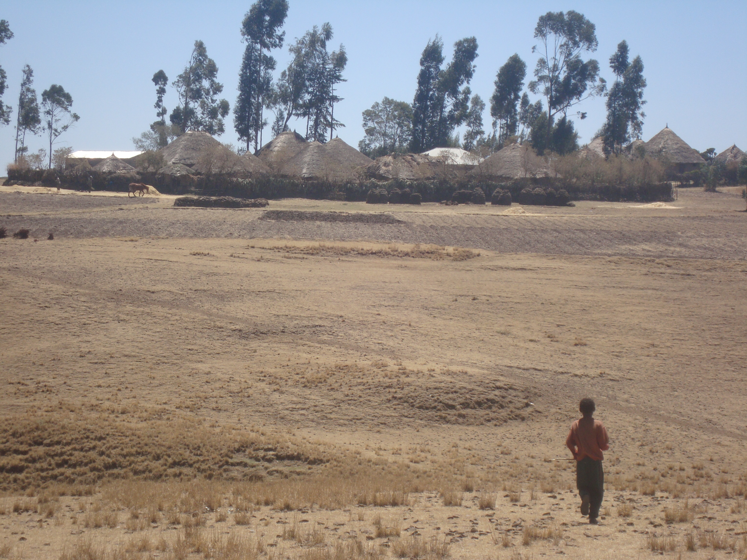 Papal Foundation, para las necesidades de la Iglesia