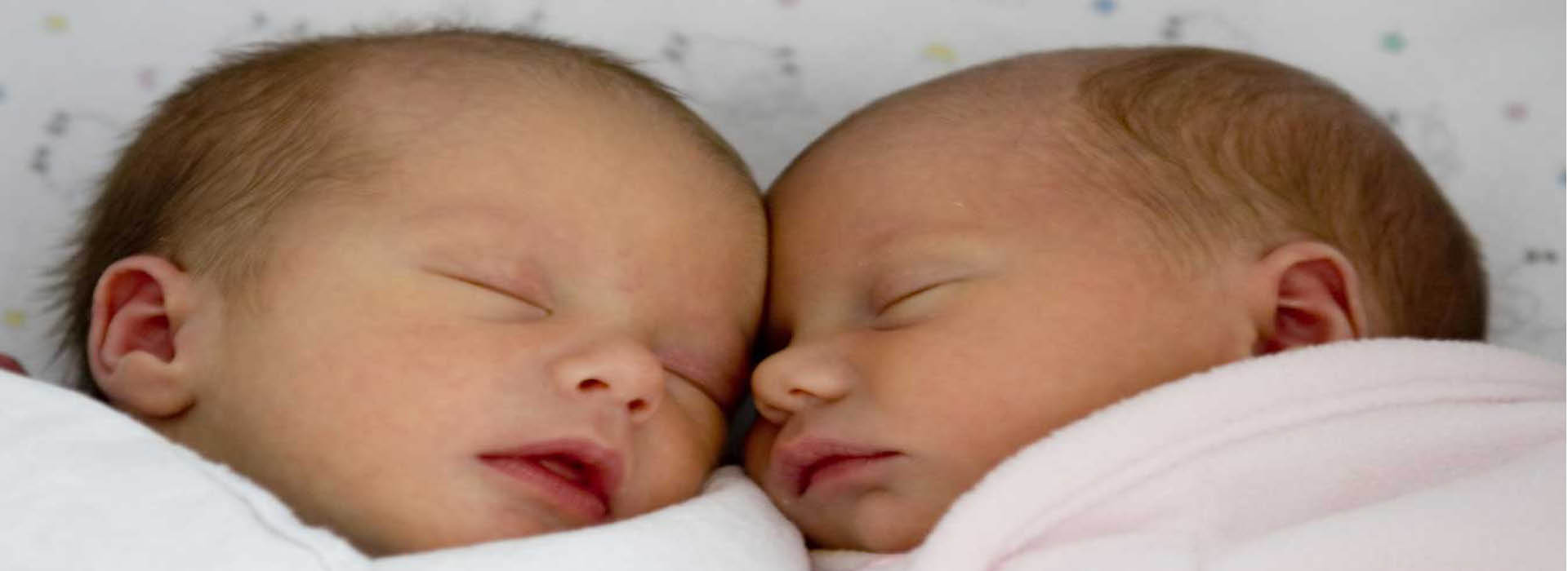 Laudato si*: salvar la Creación sin manipular al ser humano