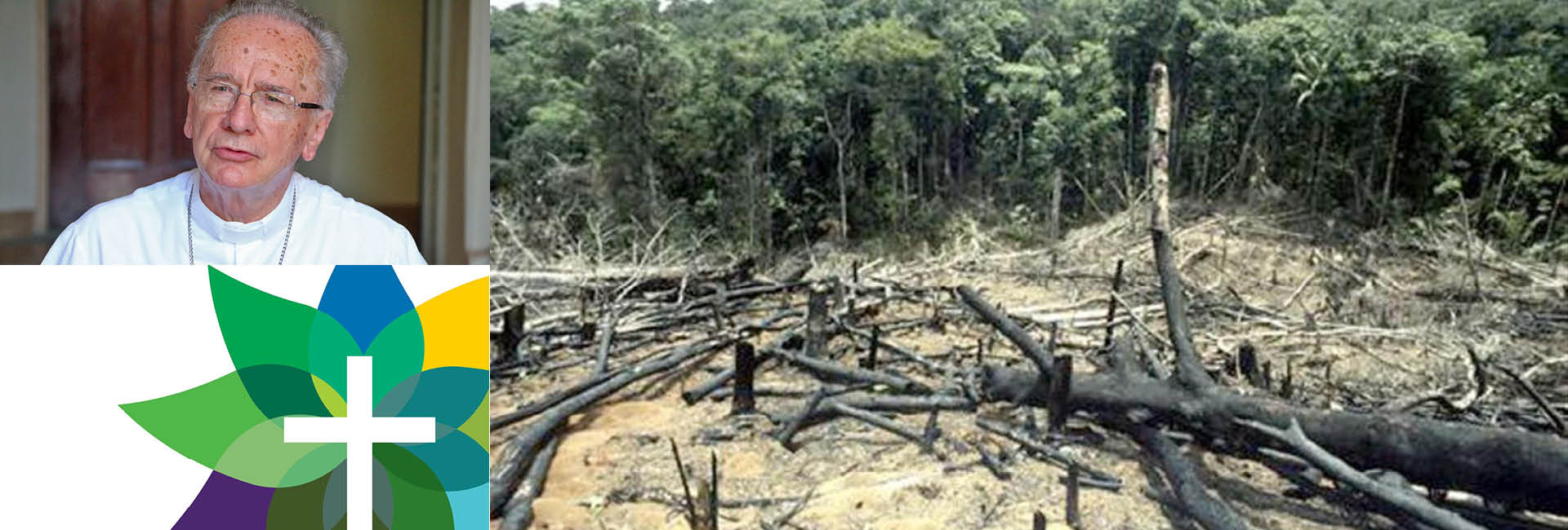 Asamblea de los obispos brasileños reflexiona sobre la misión del laicado