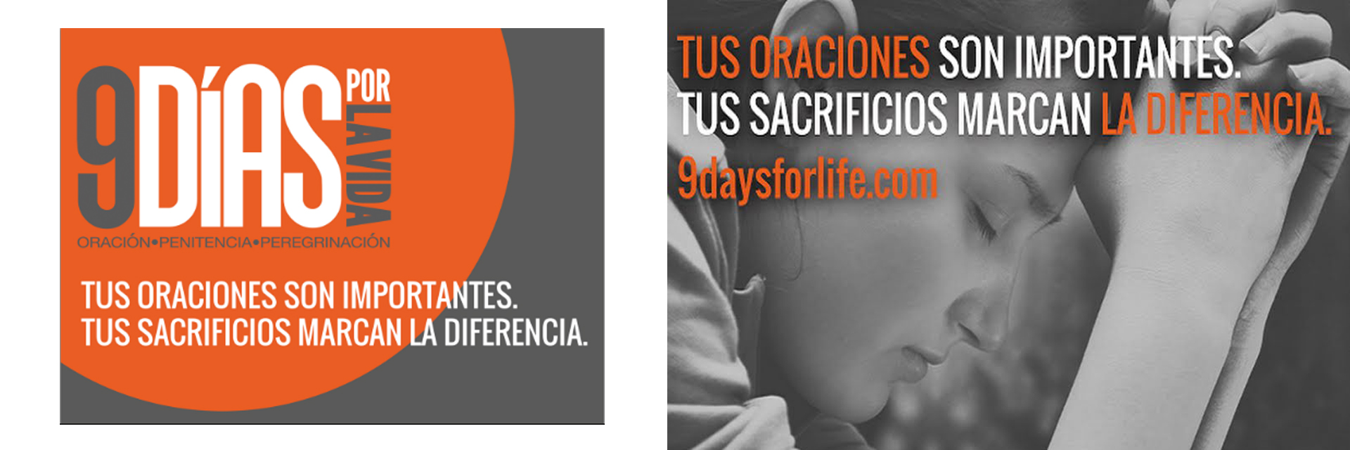 Los Obispos de EEUU preparan la celebración de nueve días de oración y acción por la vida