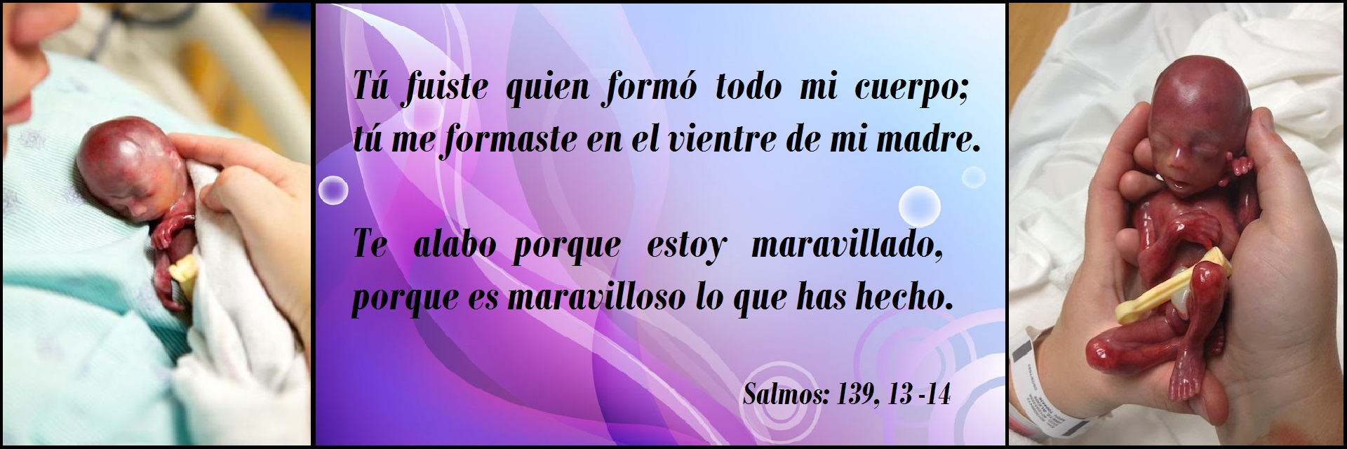 Su corta vida de sólo unos minutos ha tocado más vidas de lo que jamás podría haber imaginado