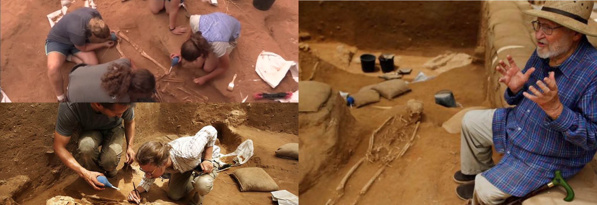 Los abuelos de Goliat