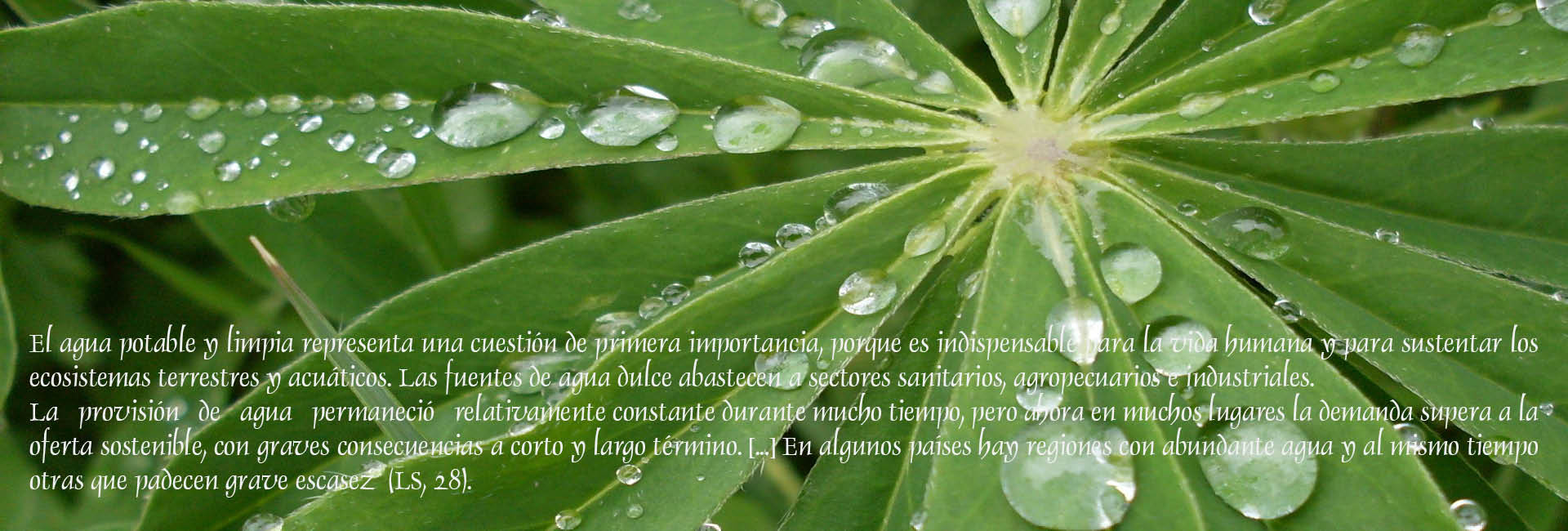 El agua es bendita y debemos cuidarla