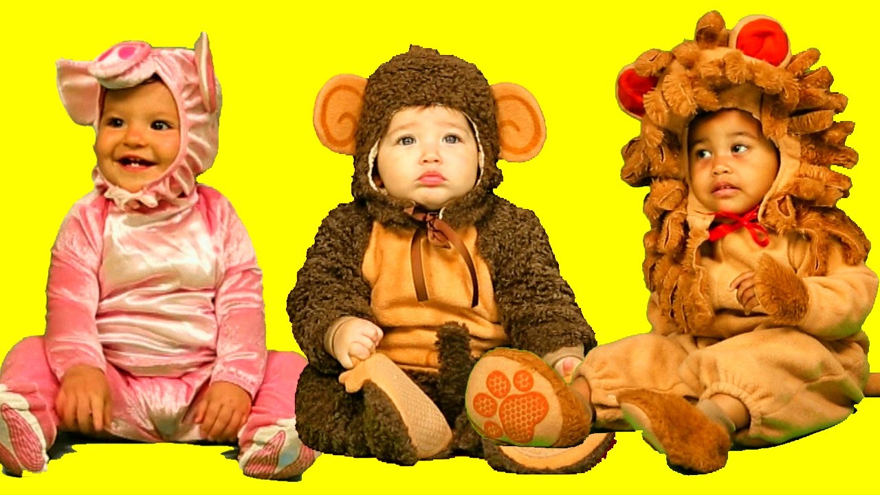 Hoy, ¿qué celebras?