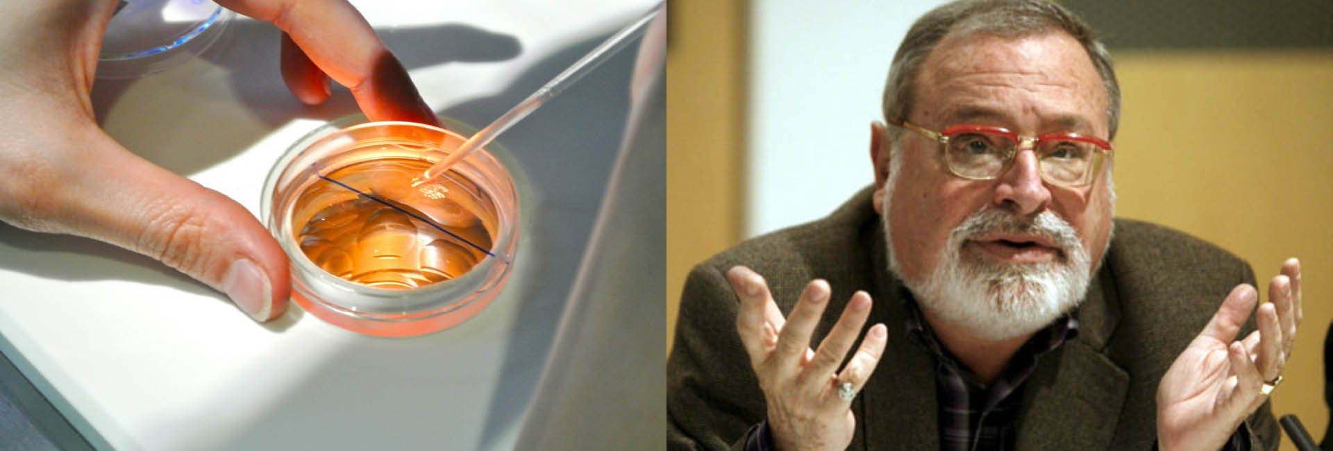 Querer ser padre sin madre o madre sin padre hurta a un tercero una parte esencial de su aventura personal