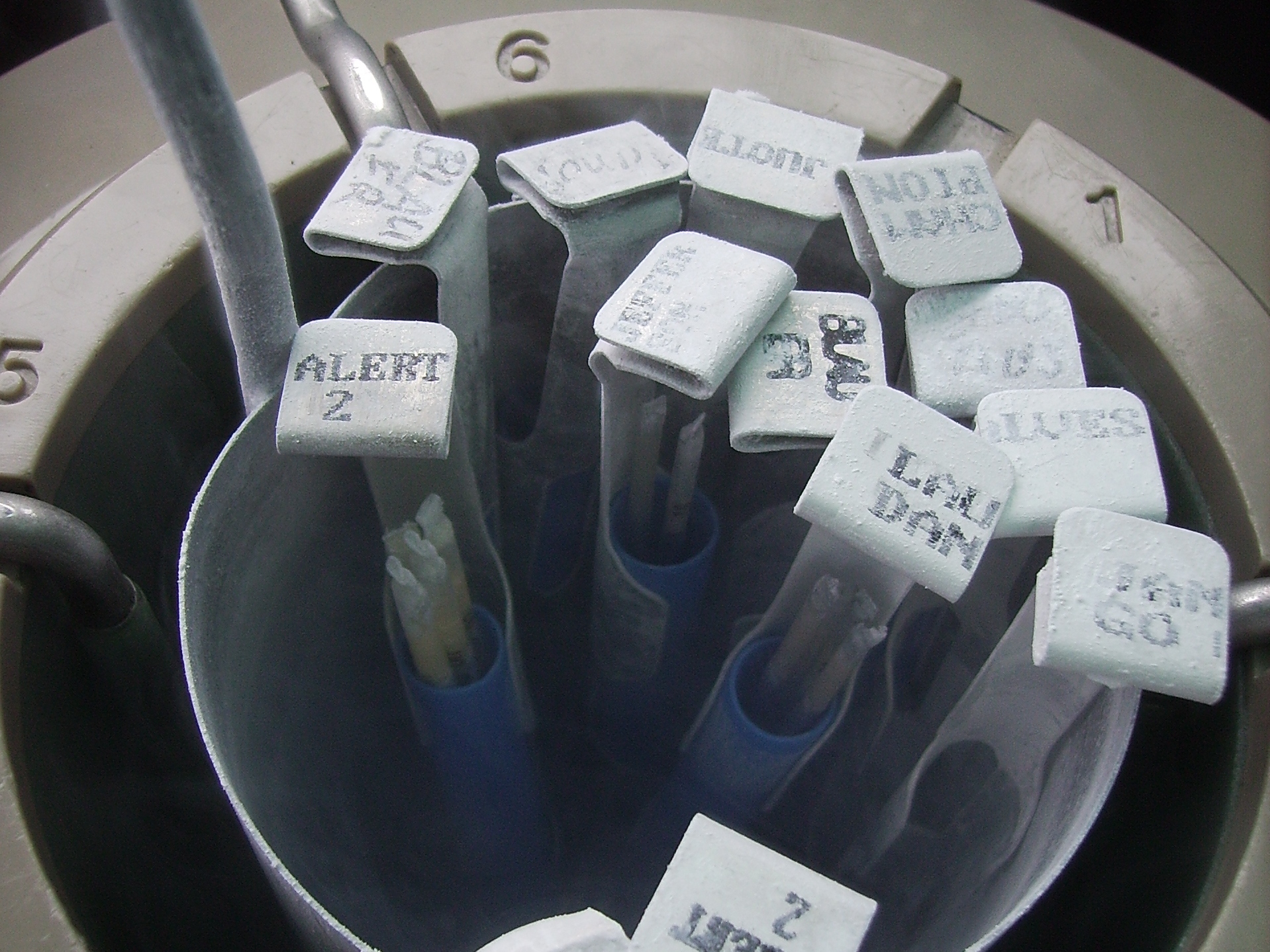 Embriones congelados: ¿Seres humanos o mercancía desechable?