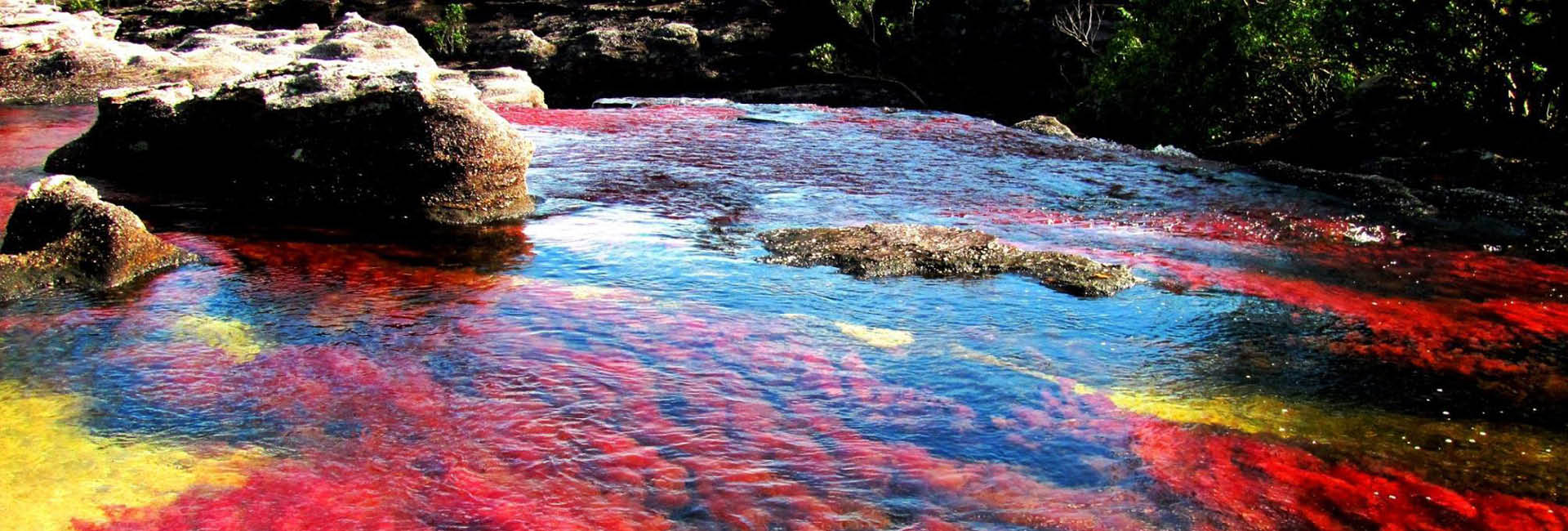 Dios es ‘la gran belleza’ eterna, todo lo demás pasa