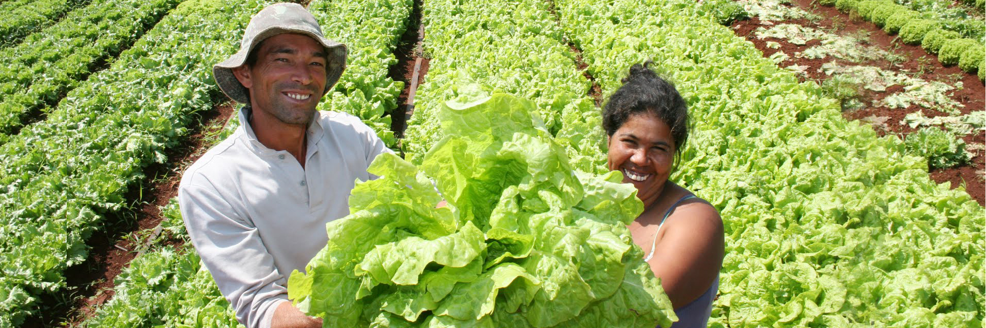 Día del campesino: tierra para el pan de cada día