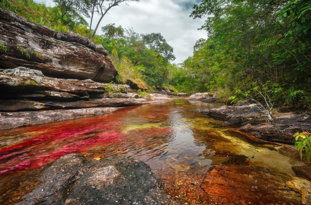 Caño Cristales