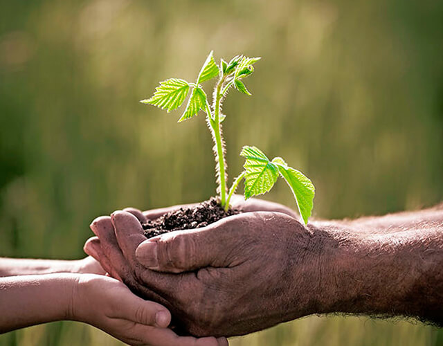 Iglesias del Sur global presentarán a León XIV documento sobre justicia climática