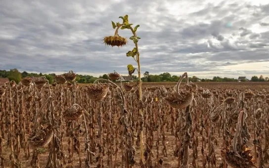 ONU: El calentamiento global es inevitable más allá de 1,5 °C