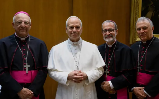 Obispos colombianos se reúnen con el papa León XIV y envían mensaje de esperanza y unidad al país antes de las elecciones