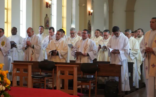 “Desde el corazón al ministerio”: la CXX Asamblea perfila orientaciones para una pastoral presbiteral integral