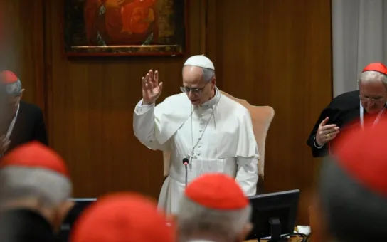 Preguntas, oraciones, trabajos en grupo: el Consistorio del Papa con los cardenales