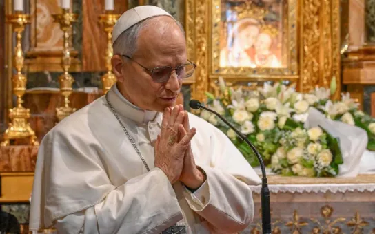 En octubre, el papa León XIV pide rezar “por la pastoral de la salud mental”
