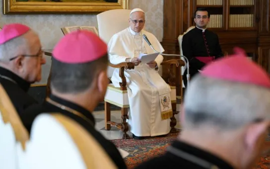 El Papa: llamados a ser incansables artífices de la paz en nombre de Jesús