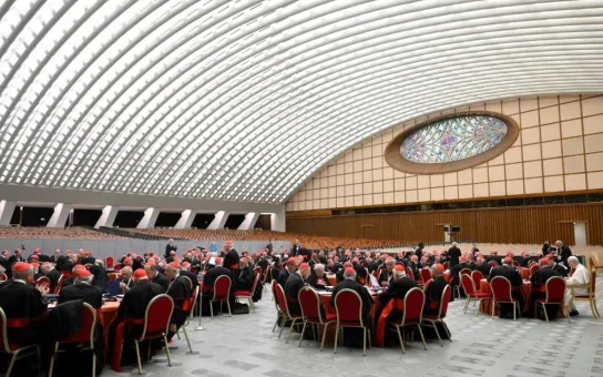 Sínodo: informes sobre la pobreza, el ambiente y la poligamia 