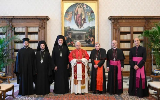 El Papa: Los cristianos unidos en la fe están llamados a ser un signo creíble de paz