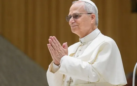 Los médicos del Papa confirman una "buena recuperación" del pulmón operado