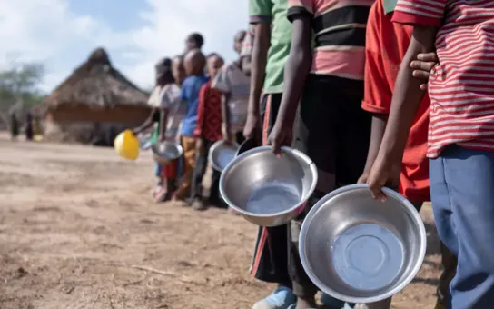 Santa Sede: "La paz es esencial para erradicar el hambre"