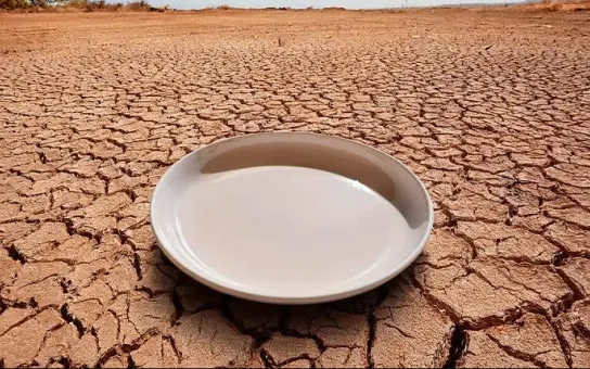El hambre: 266 millones de personas afectadas en 47 países de todo el mundo