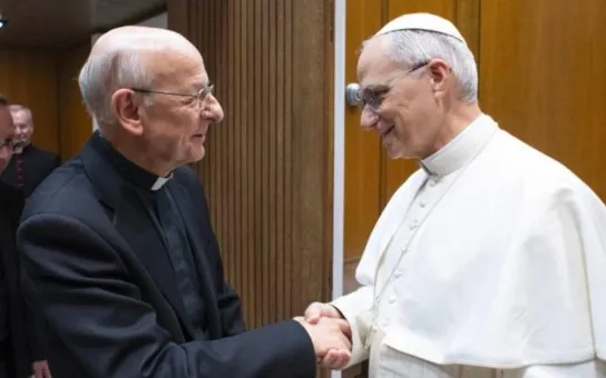 El Papa León XIV recibe en audiencia al prelado del Opus Dei