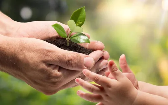 Bogotá será sede del encuentro hispanoamericano del Movimiento Laudato Si’,