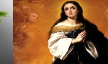 Solemnidad de la Inmaculada Concepción de la Santísima Virgen María