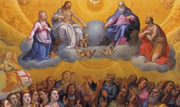 Los santos son los que no tienen miedo a dejarse acariciar por la misericordia de Dios