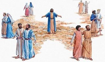 LITURGIA Julio 7 La fecundidad del Reino y la precariedad de medios